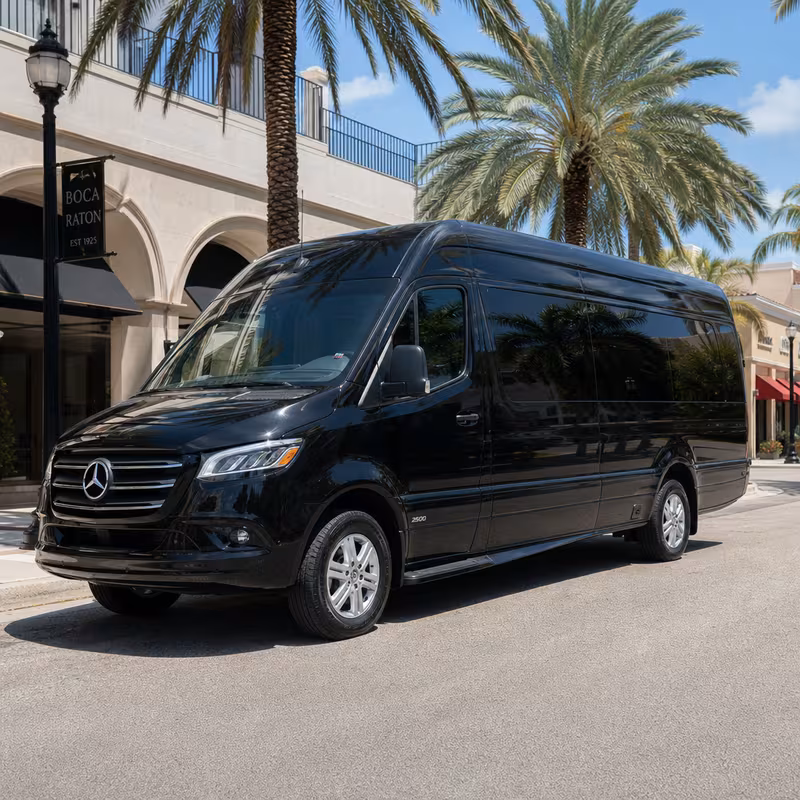 14 Passenger Sprinter Limo